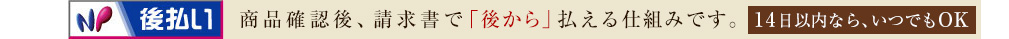 後払い NP支払い